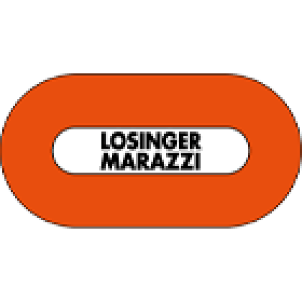 1 losinger