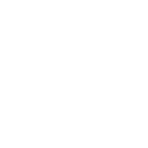 10 moser vernet